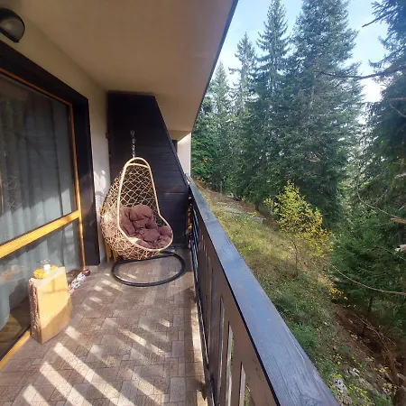 Apartment 1 Bedroom Cozy Flat Pamporovo