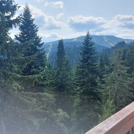 Apartment 1 Bedroom Cozy Flat Pamporovo
